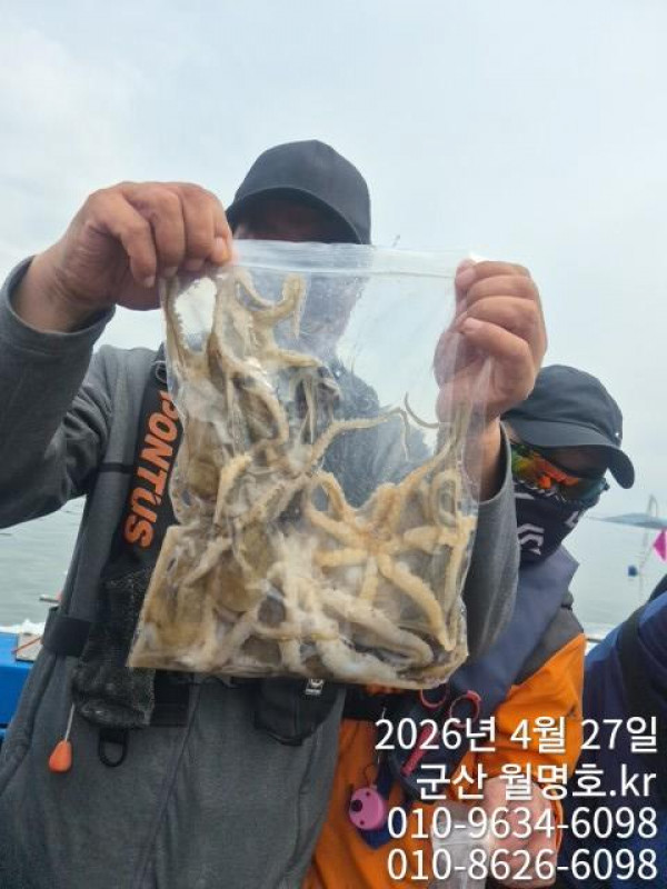 4895.jpg