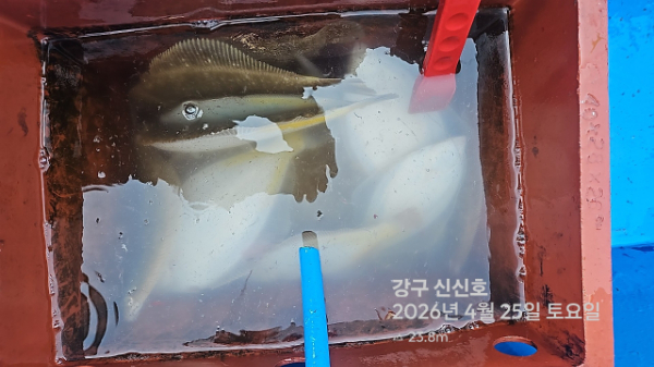 신신낚시 강구점 신신호_사진_20260425_18.jpg