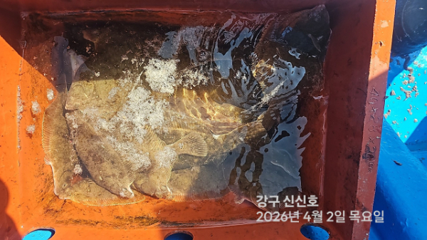 신신낚시 강구점 신신호_사진_20260402_17.jpg