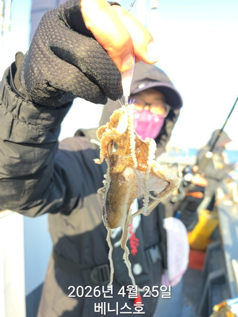KakaoTalk_20260425_135622863_16.jpg