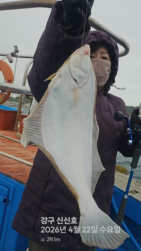 신신낚시 강구점 신신호_사진_20260422_3.jpg