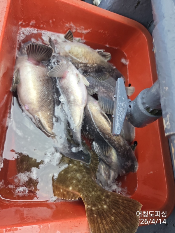 최강피싱 063.463.0800_사진_20260414_35.jpg