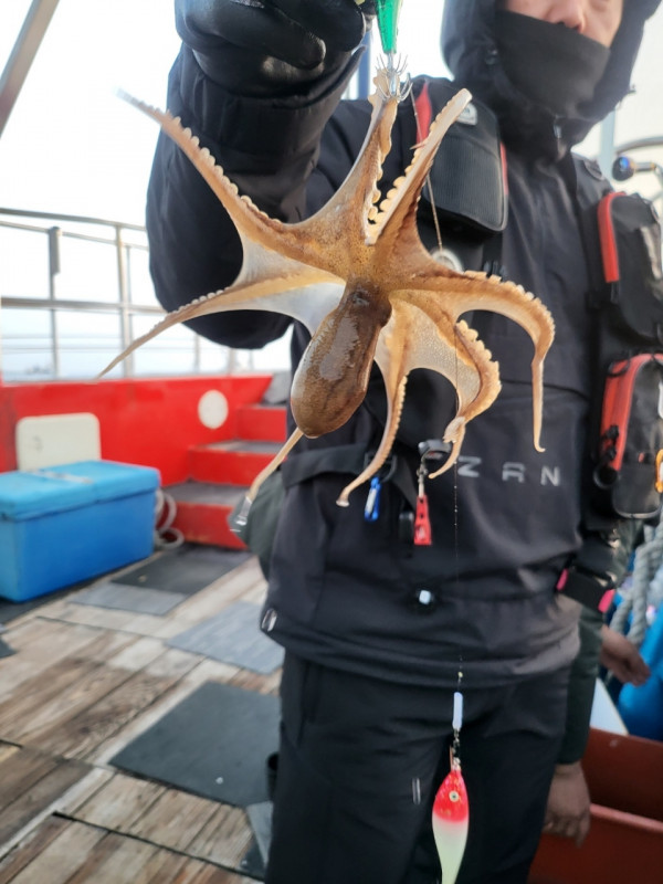 군산 선상낚시, 바다낚시 출조 전문 ☆서군산낚시☆_사진_20260411_19.jpg