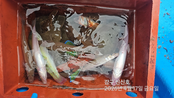 신신낚시 강구점 신신호_사진_20260417_7.jpg