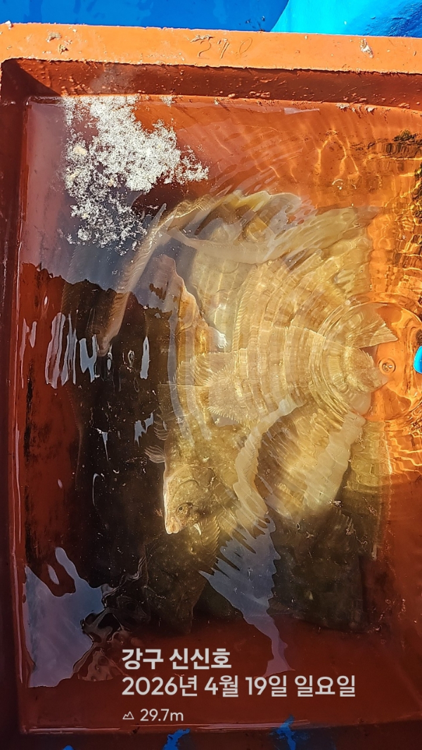 신신낚시 강구점 신신호_사진_20260419_15.jpg