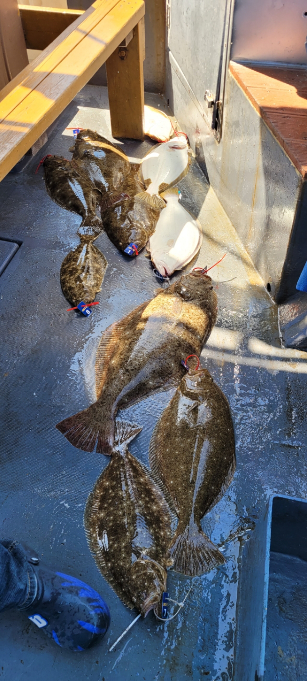 예지퀸호 농어외수질&어초낚시 경기인천권_사진_20260426_17.jpg