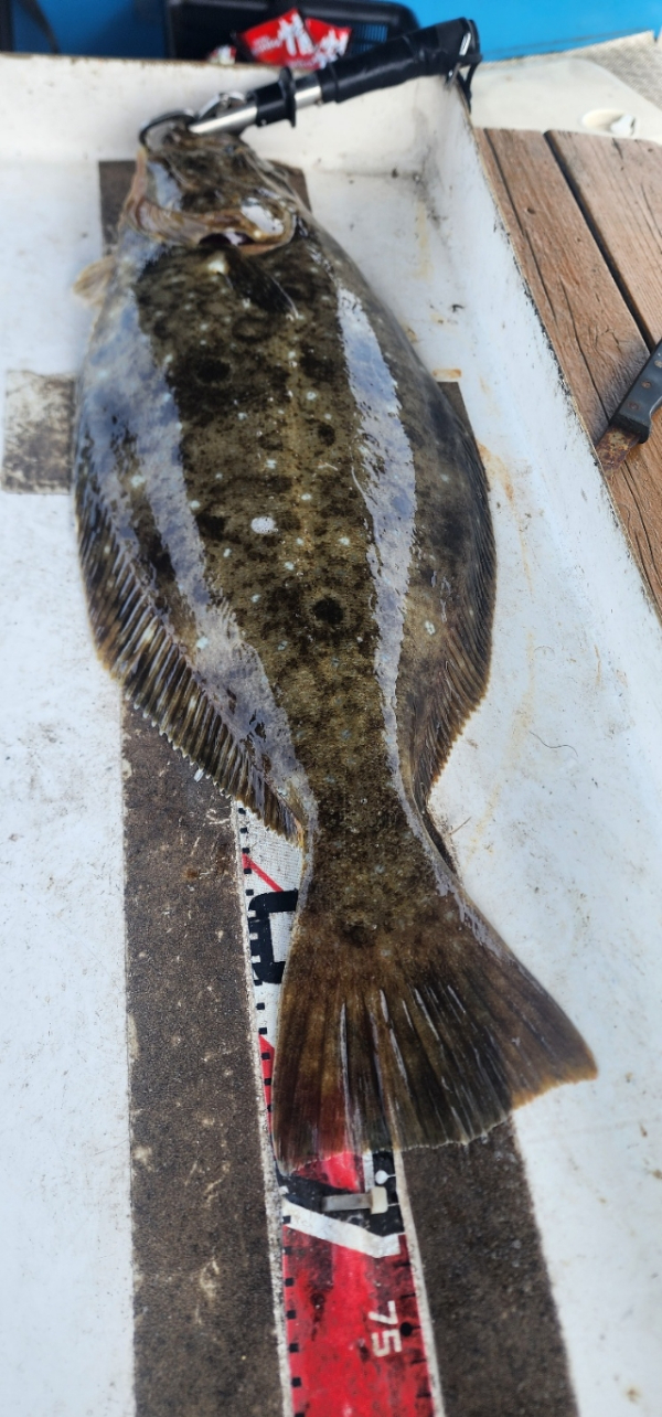 예지퀸호 농어외수질&어초낚시 경기인천권_사진_20260429_2.jpg