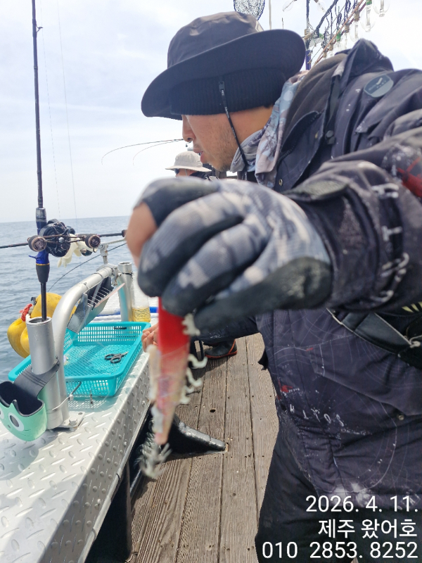 제주왔어호_사진_20260411_17.jpg