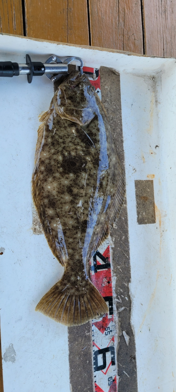 예지퀸호 농어외수질&어초낚시 경기인천권_사진_20260426_14.jpg