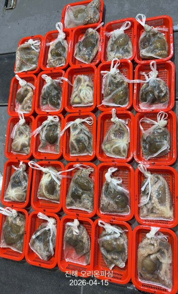 KakaoTalk_20260417_101302663_03 (1).jpg