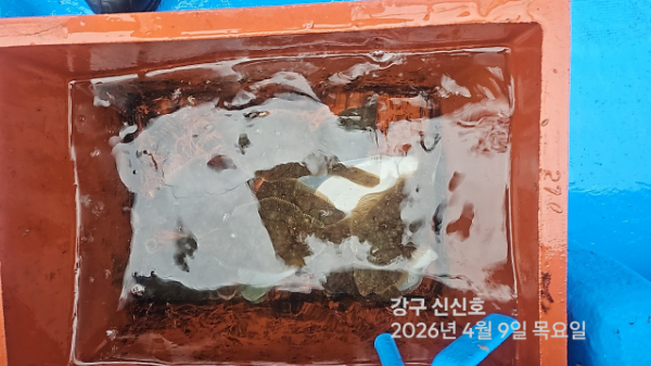 신신낚시 강구점 신신호_사진_20260409_10.jpg