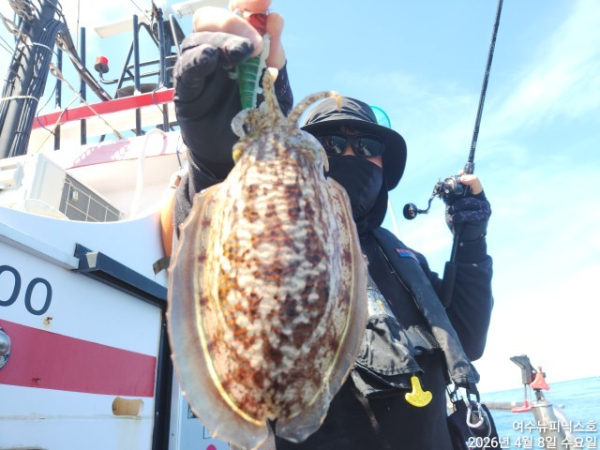 4월8일심해갑 (22).jpg