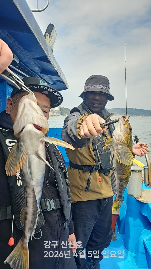 신신낚시 강구점 신신호_사진_20260405_15.jpg