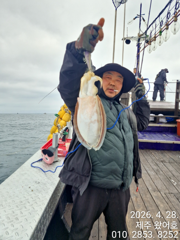 제주왔어호_사진_20260429_15.jpg