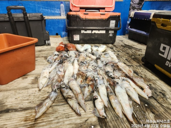 4월22일갑한치 (2).jpg