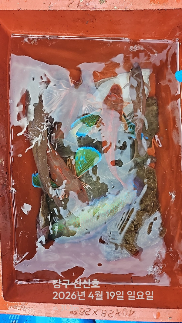 신신낚시 강구점 신신호_사진_20260419_20.jpg