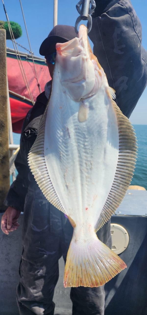 예지퀸호 농어외수질&어초낚시 경기인천권_사진_20260430_12.jpg