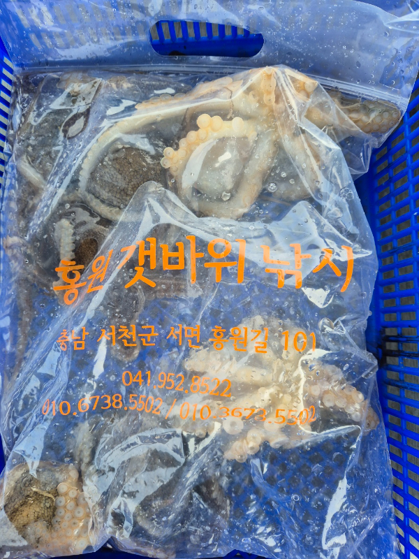 KakaoTalk_20260410_113746912_02.jpg