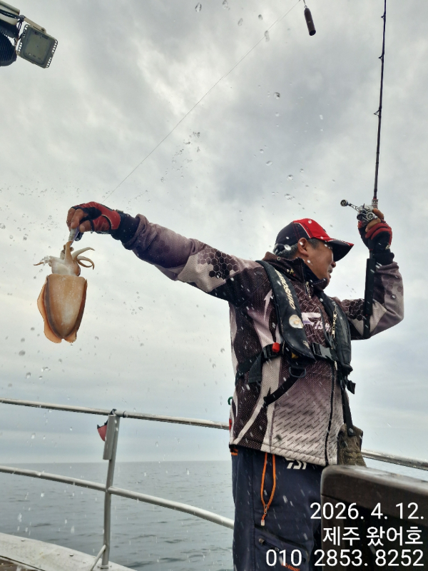 제주왔어호_사진_20260412_16.jpg