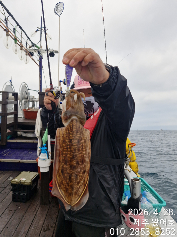 제주왔어호_사진_20260429_18.jpg