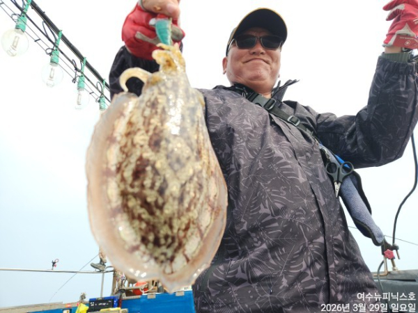 3월29일심해갑 (14).jpg