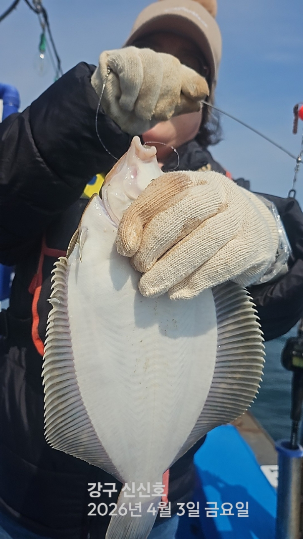 신신낚시 강구점 신신호_사진_20260403_2.jpg