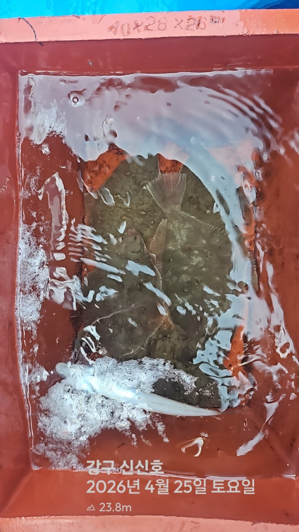 신신낚시 강구점 신신호_사진_20260425_17.jpg