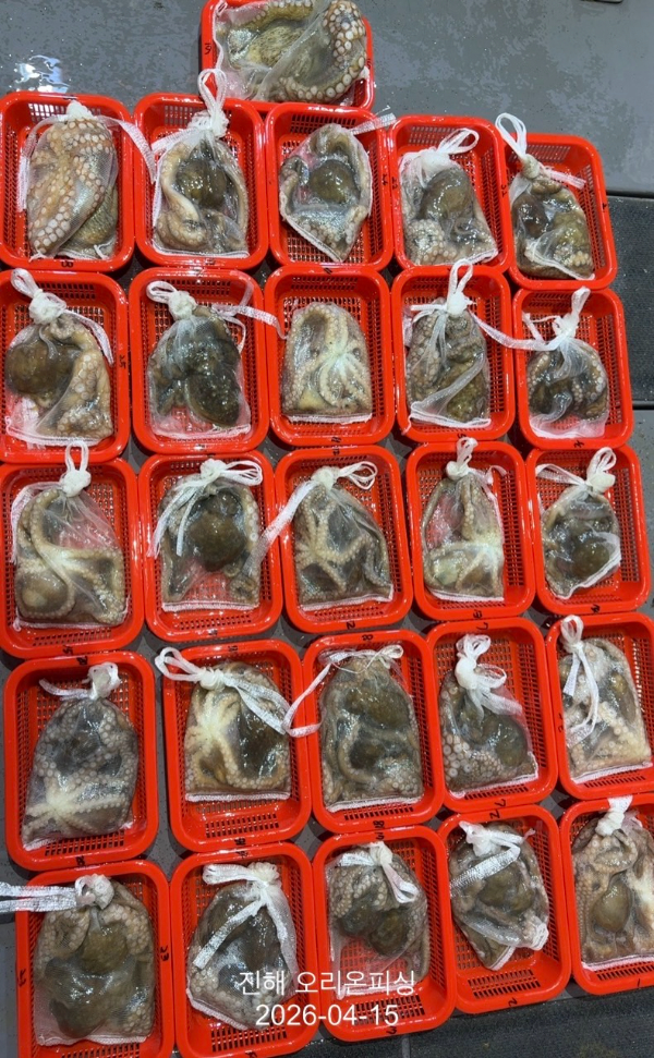 KakaoTalk_20260417_101302663_02 (1).jpg