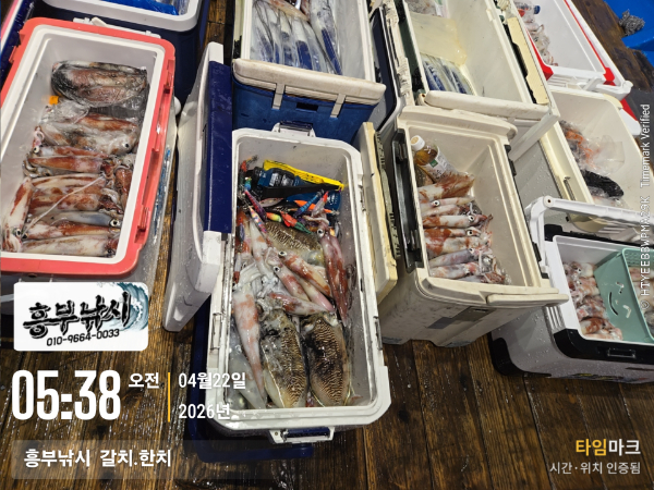 2026-04-22 05.38.34__(-흥부낚시  갈치.한치).jpg
