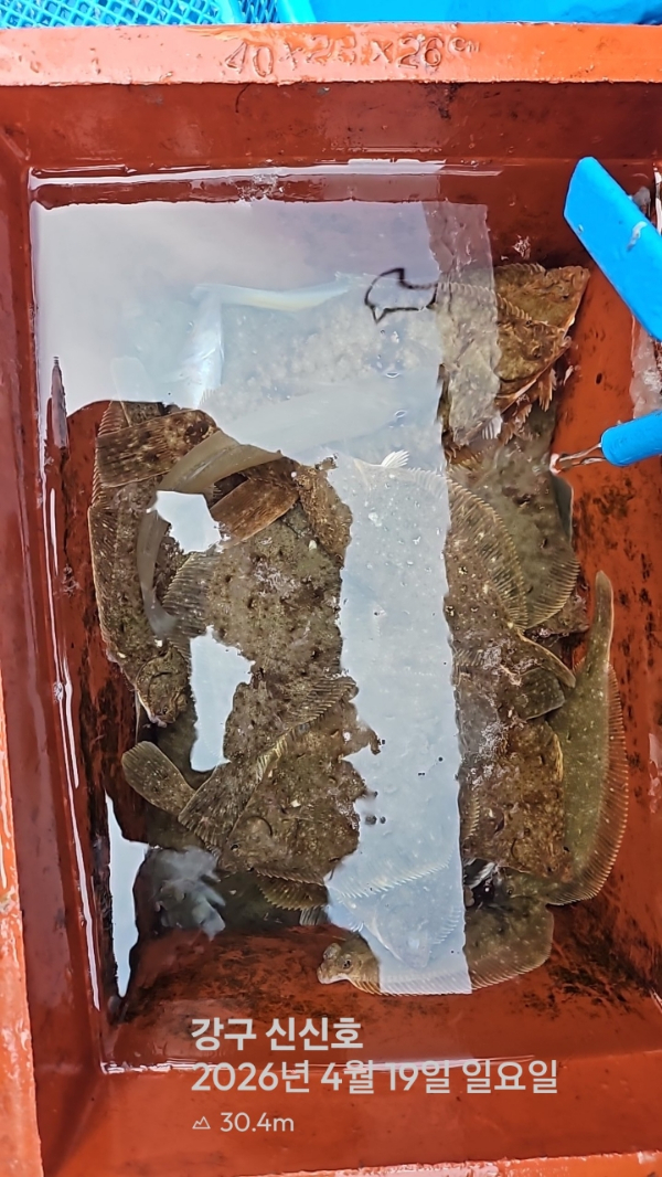 신신낚시 강구점 신신호_사진_20260419_17.jpg