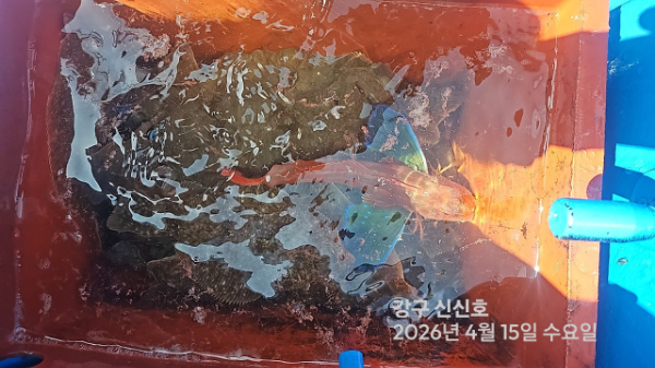 신신낚시 강구점 신신호_사진_20260415_14.jpg