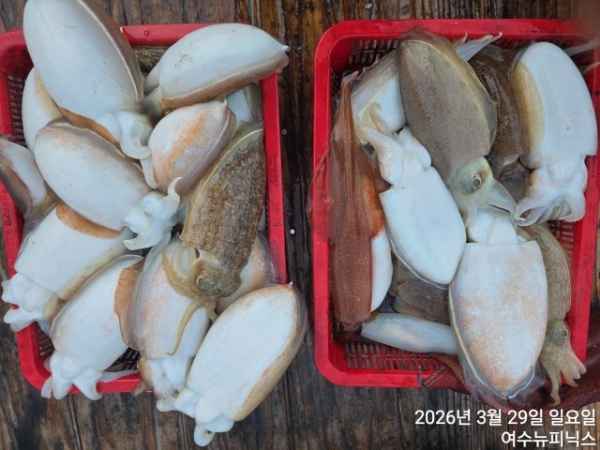 3월29일심해갑 (6).jpg