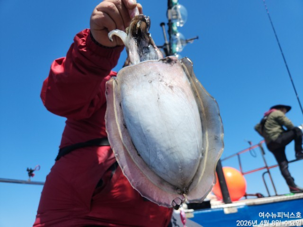 4월8일심해갑 (24).jpg