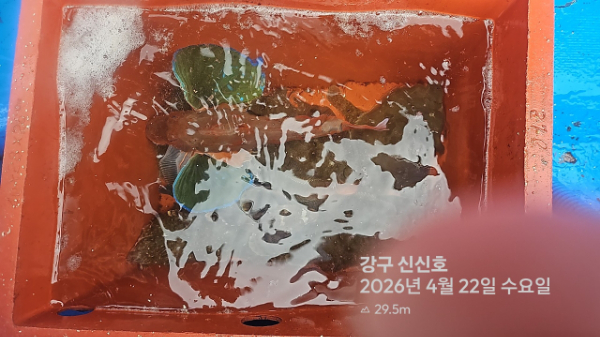 신신낚시 강구점 신신호_사진_20260422_18.jpg