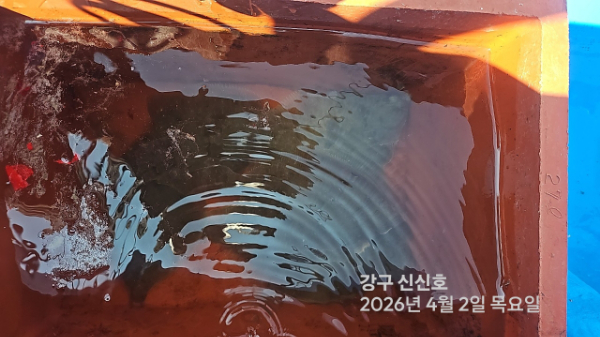 신신낚시 강구점 신신호_사진_20260402_16.jpg