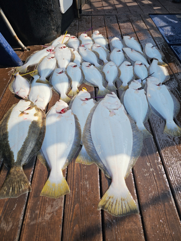 마검포 대한호(VIP)_사진_20260415_5.jpg