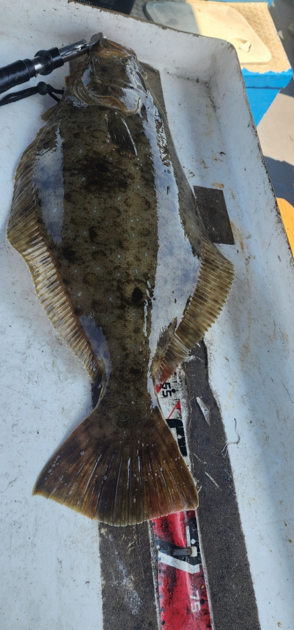 예지퀸호 농어외수질&어초낚시 경기인천권_사진_20260430_20.jpg