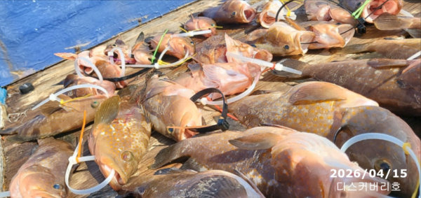 bandicam 2026-04-16 14-31-47-513.jpg