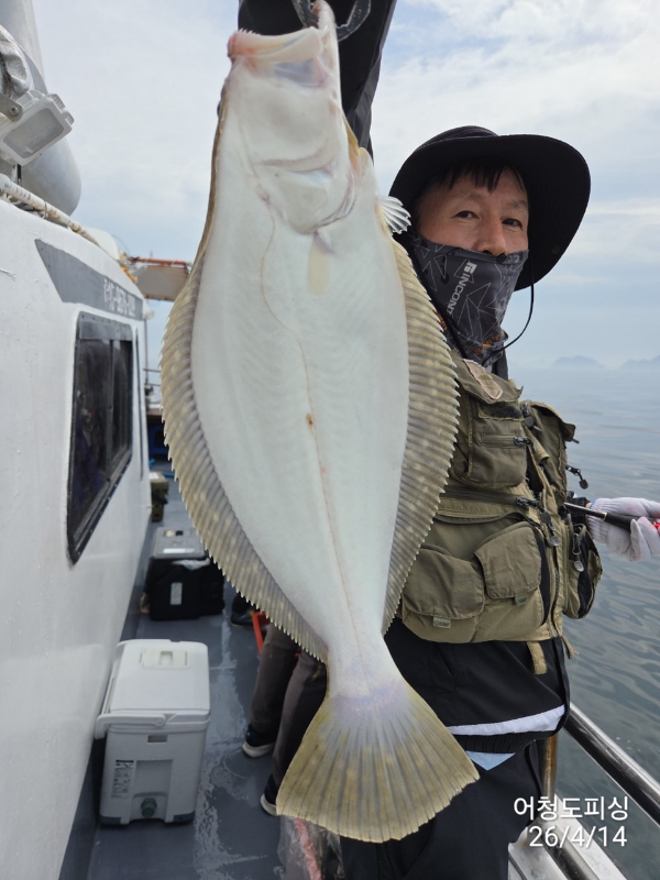 최강피싱 063.463.0800_사진_20260414_13.jpg