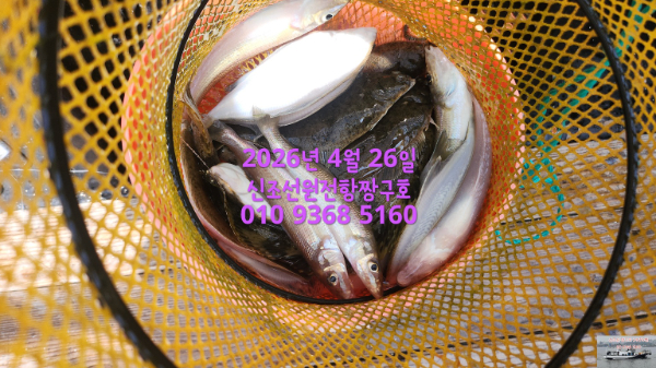 KakaoTalk_20260430_114444318_04.jpg