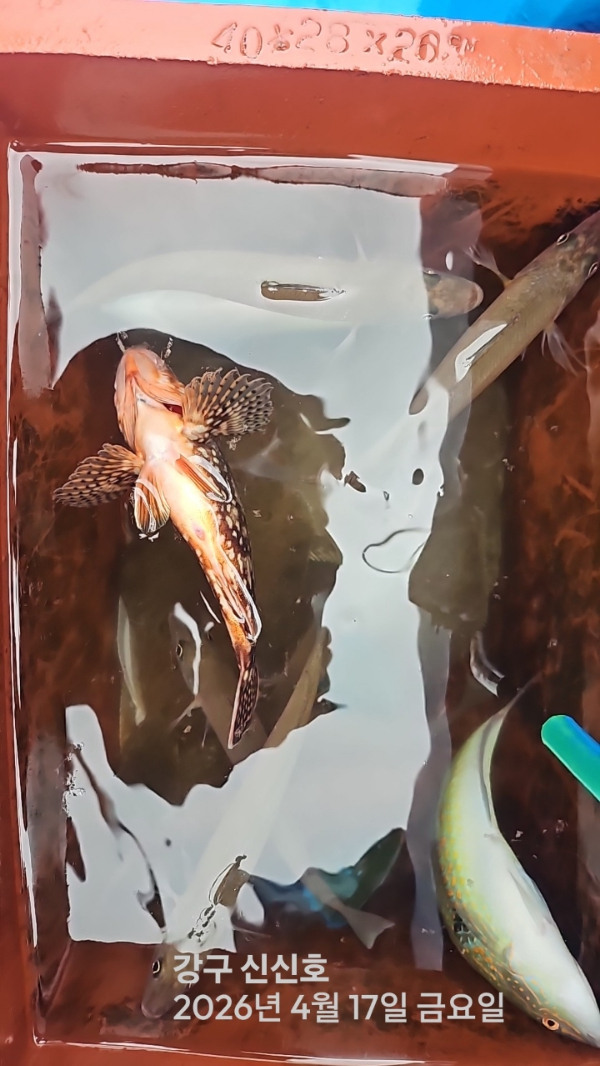 신신낚시 강구점 신신호_사진_20260417_12.jpg