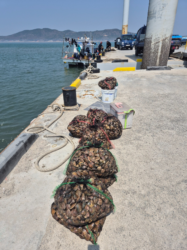 KakaoTalk_20260415_122813550_01 (1).jpg