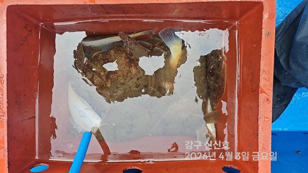 신신낚시 강구점 신신호_사진_20260403_19.jpg