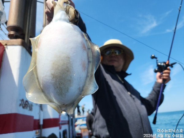 4월8일심해갑 (20).jpg