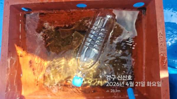 신신낚시 강구점 신신호_사진_20260421_12.jpg