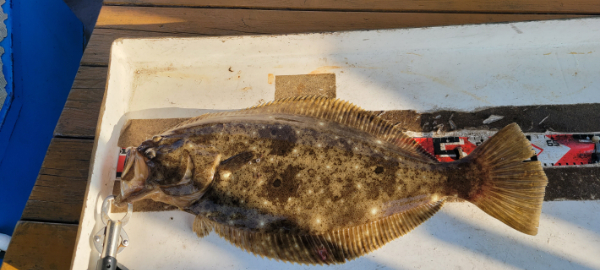 예지퀸호 농어외수질&어초낚시 경기인천권_사진_20260426_6.jpg