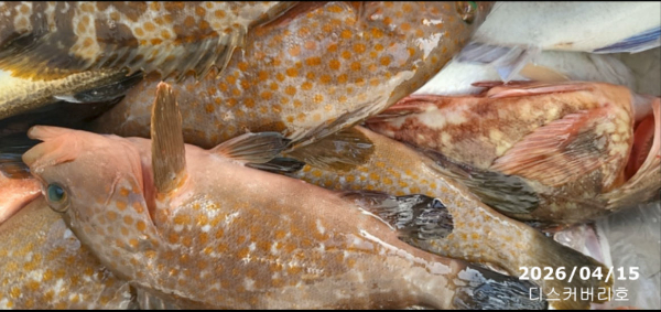 bandicam 2026-04-16 14-37-20-647.jpg