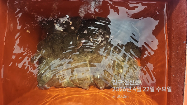 신신낚시 강구점 신신호_사진_20260422_12.jpg