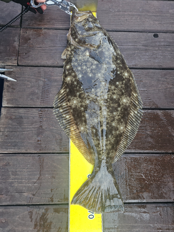 마검포 대한호(VIP)_사진_20260415_2.jpg