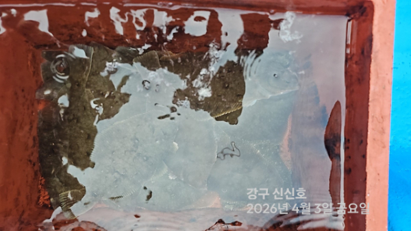 신신낚시 강구점 신신호_사진_20260403_17.jpg